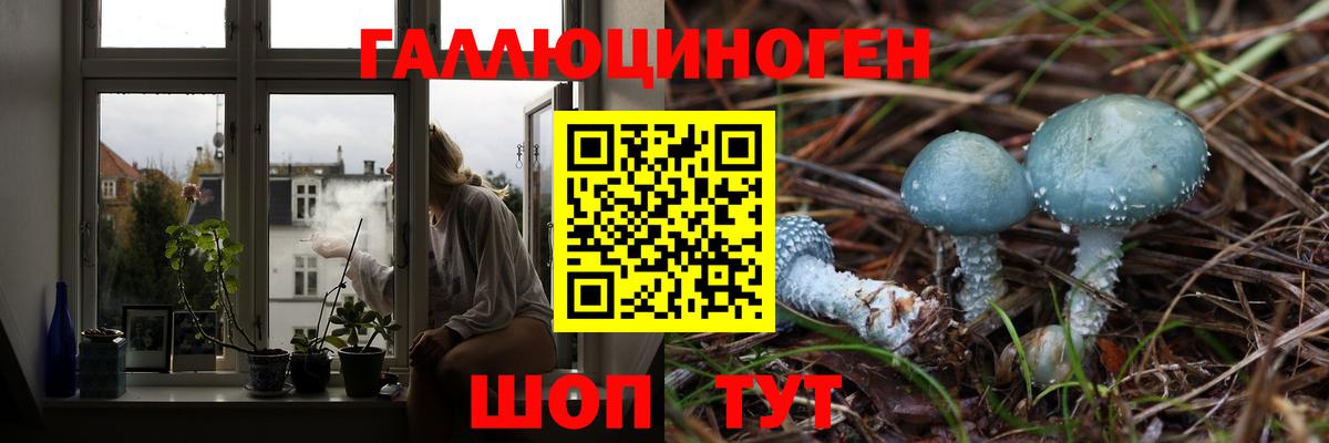 Узловая  наркота  Вход с VPN  Галлюциногенные грибы Psilocybe 