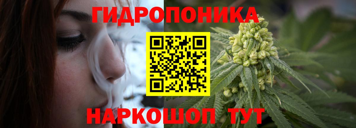 Канабис Bruce Banner  Бошки марихуана план  Конопля AK-47  Вход с VPN  Узловая 